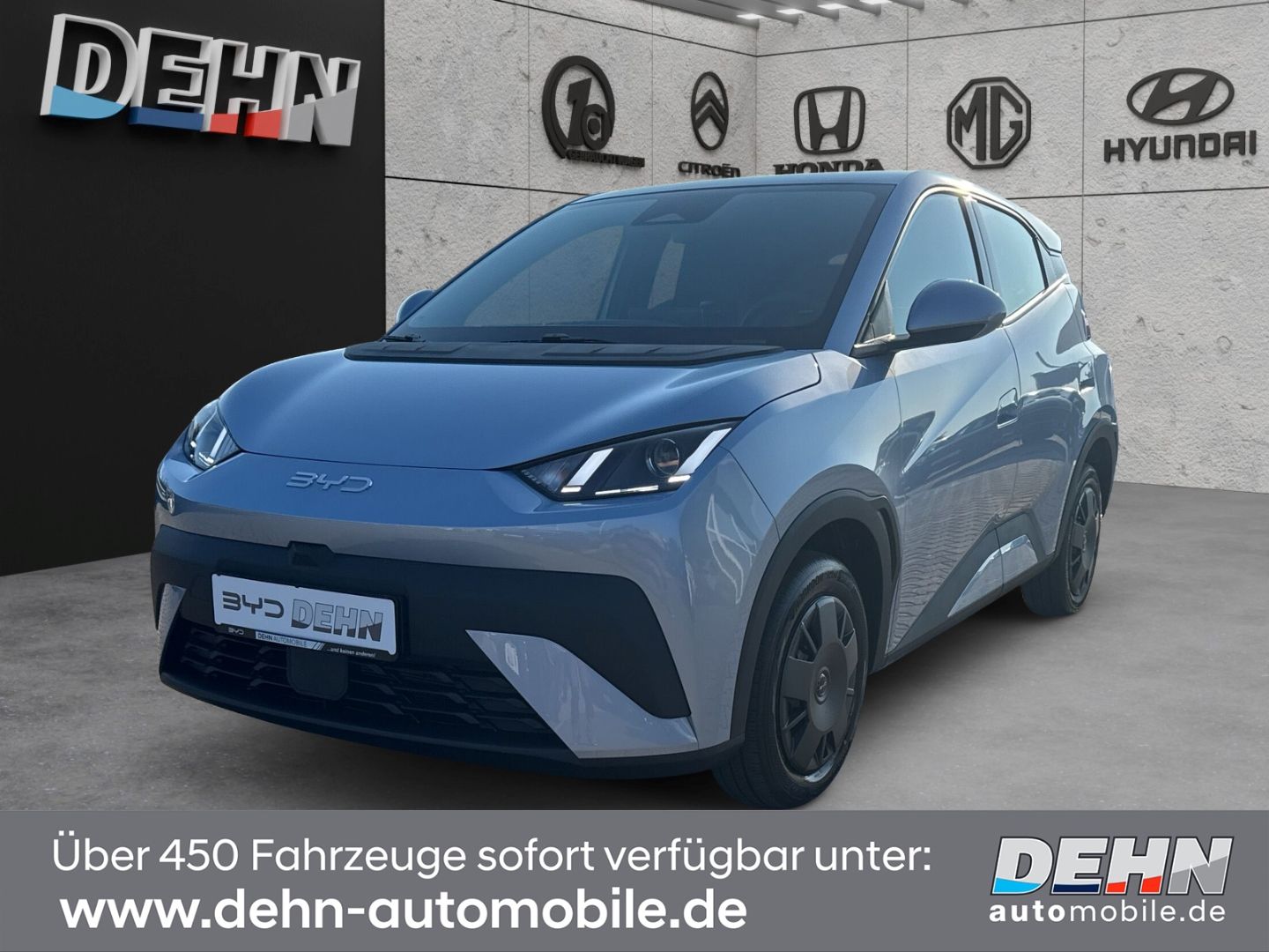 BYD DOLPHIN SURF