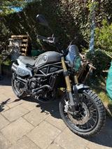 Benelli NEUE BENELLI LEONCINO 800 TRAIL - Scrambler  - BENELLI ENDURO