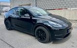 Tesla Model Y Long Range Dual Motor AWD - Tesla Model Y in Frankfurt (Main)