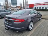 Jaguar XF 2.7 Diesel   TÜV bis 07.2026 - Jaguar XF: 2.7