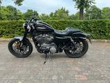 Harley-Davidson XL1200CX Sportster Roadster - Harley-Davidson Sportster XL 1200 R Roadster