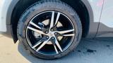 Volvo XC40 B3 Aut. Plus Dark Pano RCam BLIS ACC Pilot - Volvo XC40 Jahreswagen