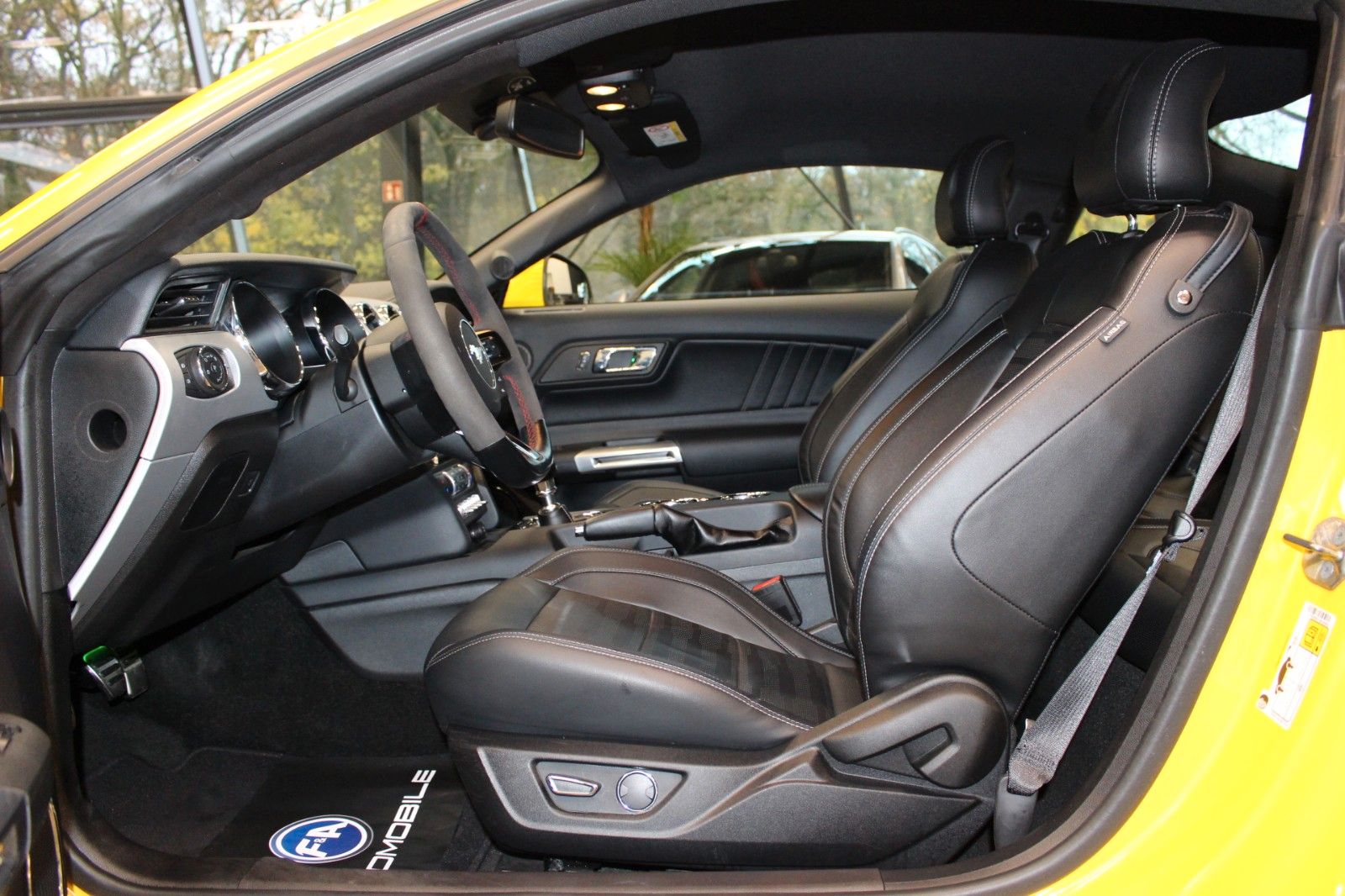 Fahrzeugabbildung Ford Mustang 5.0 V8 GT Performance-Paket+KW-Fahrwerk