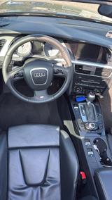 Audi S5 3.0 Quattro Cabriolet - Traumzustand  - Audi S5: Leder