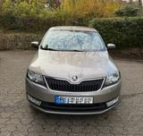 Skoda Rapid 1.4 TSI DSG Ambition Spaceback Ambition - gebrauchte Skoda Rapid aus dem Jahr 2016