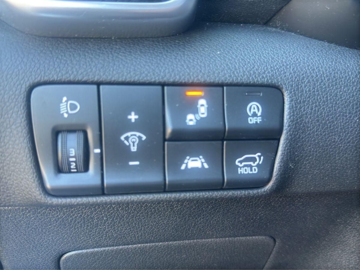 Sportage Platinum Edition 4WD PANO NAVI LED
