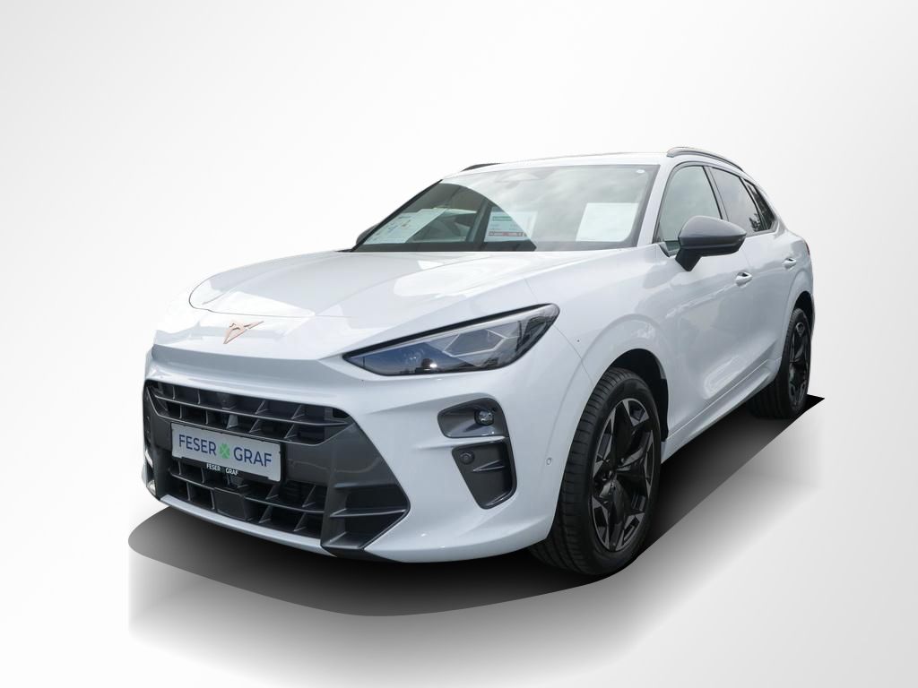 Cupra Terramar - Bild 13