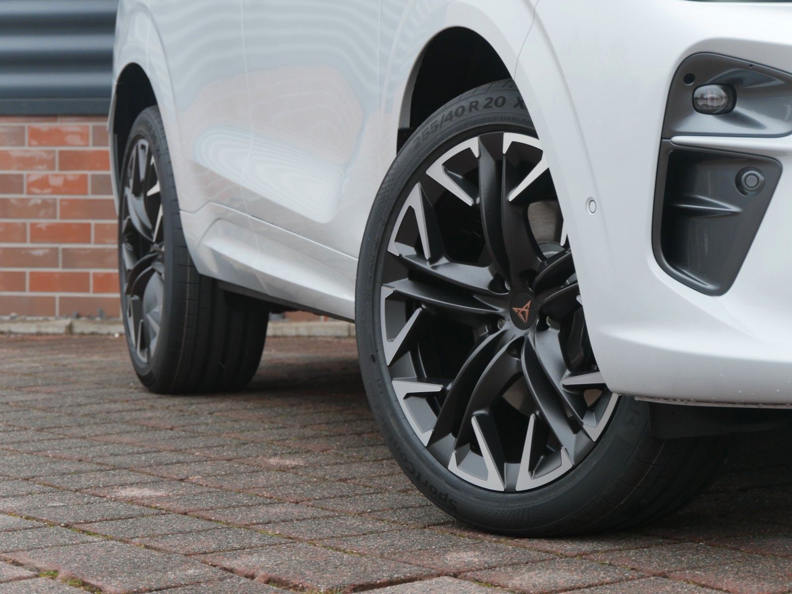 Cupra Terramar - Bild 2
