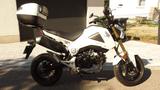 Honda MSX 125 Grom - HONDA MSX 125