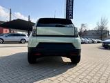 Fiat Grande Panda 1.2 eDCT Business Edition Icon LED - Fiat Grande Panda Neuwagen