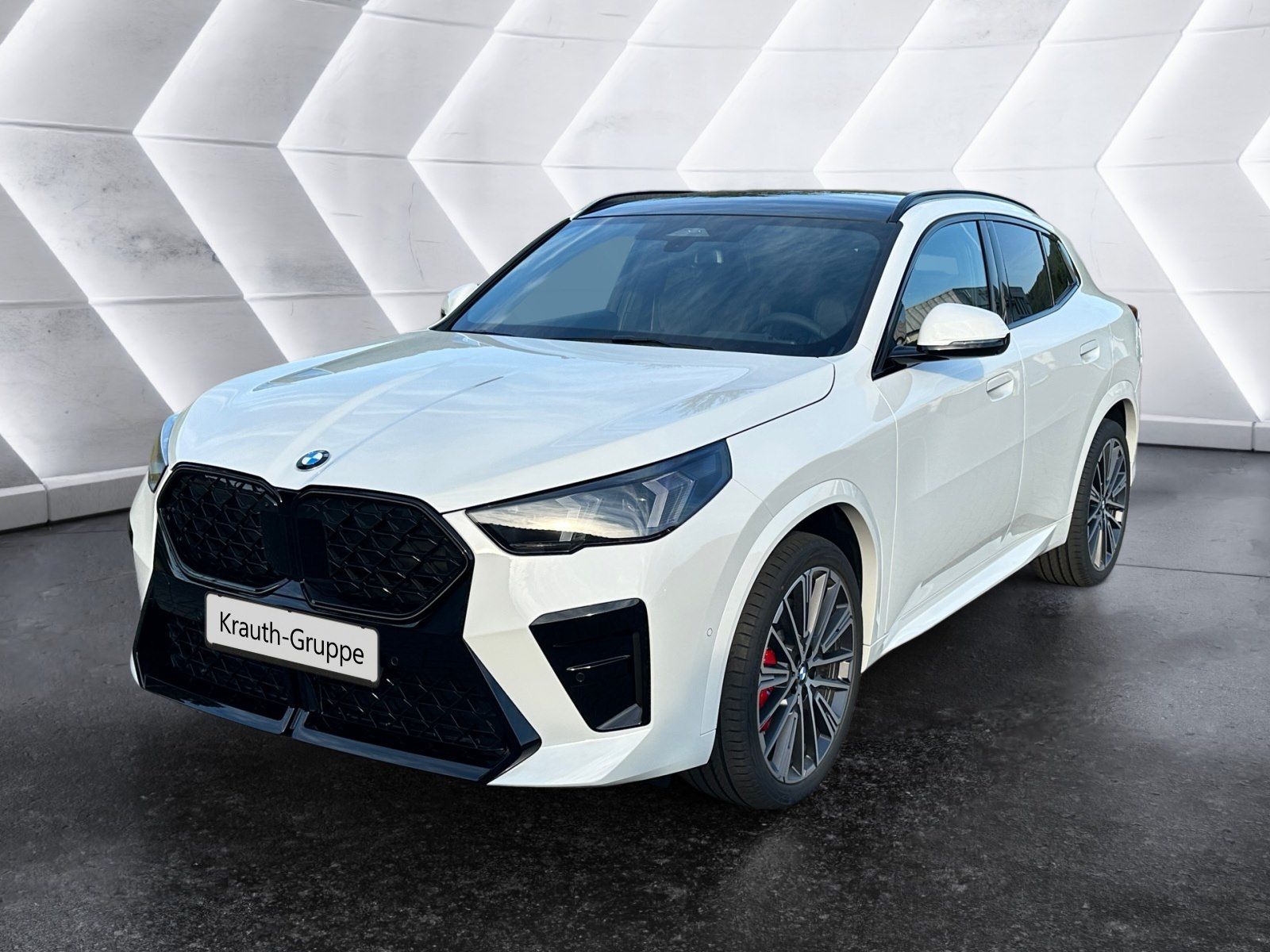 BMW X2 sDrive20i M Sportpaket Head-Up HK HiFi DAB foto 1