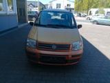 Fiat 1.2 8V Dynamic.elFe.8fachbe..1Hand.Tüneu.1A - Fiat Panda bis 5.000 Euro