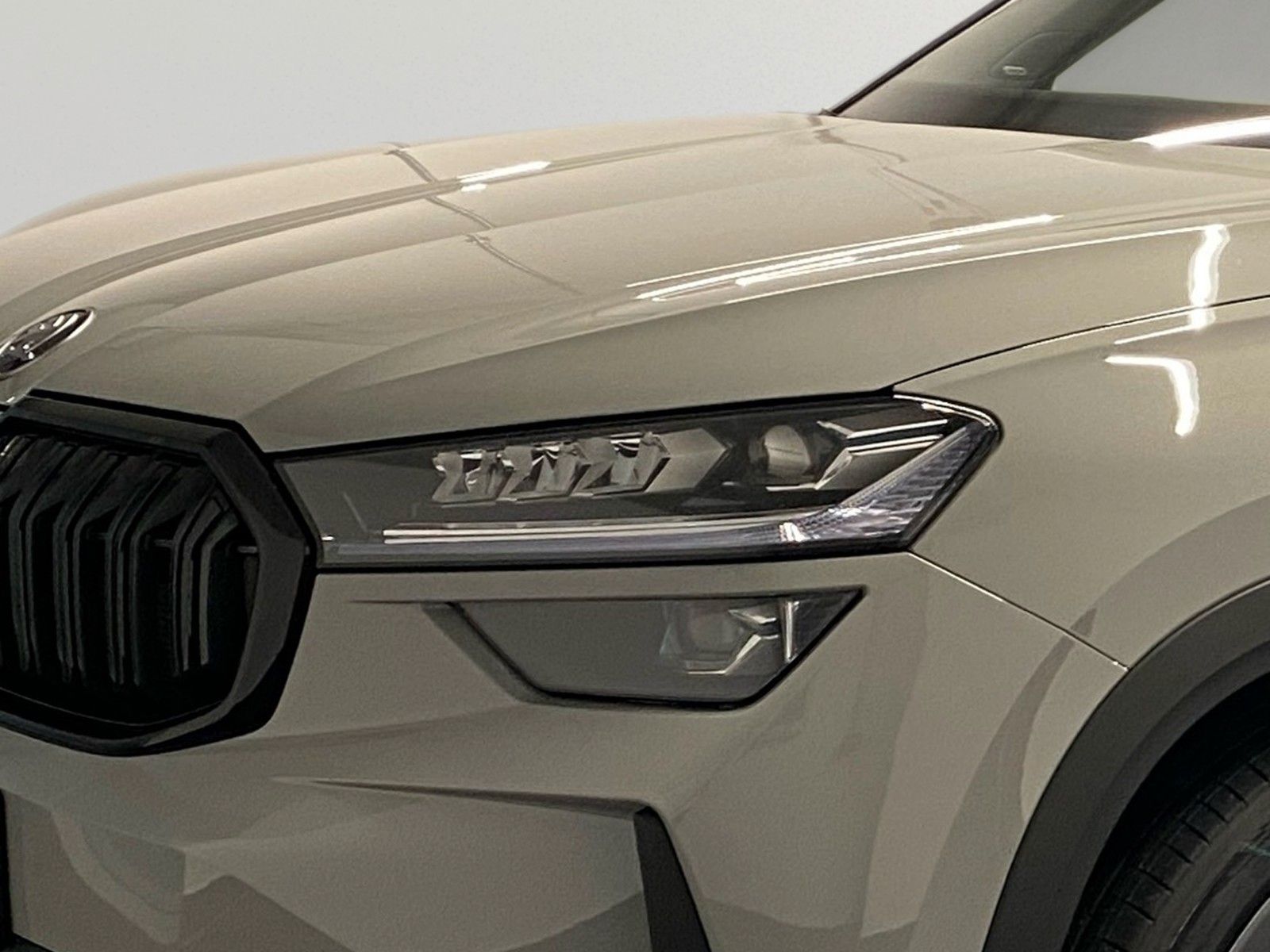 Skoda Kodiaq - Bild 6