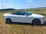 Audi Cabriolet - Audi Cabriolet mit Diesel-Antrieb