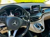 Mercedes-Benz Marco Polo V 250 Edition 4-Matic - Offers