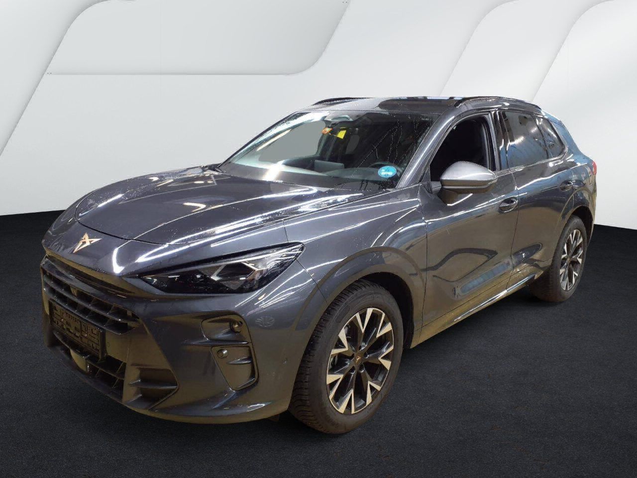 Cupra Terramar - Bild 2