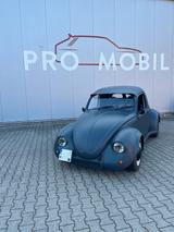 Volkswagen Käfer - Volkswagen: Sportwagen, Kaefer