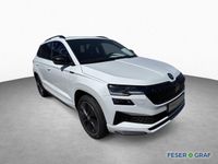 Skoda Karoq - Vorschau Bild 3