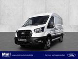 Ford Transit 350 L2H2 Trend 130PS Laderaumschutz Airb - Ford Transit: Laderaum