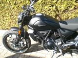 Ducati Scrambler Icon Dark 2025-neu/nur 296 KM-privat - DUCATI SCRAMBLER ICON DARK