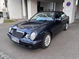 Mercedes-Benz E 270 CDI ELEGANCE - TÜV neu - ROSTFREI - Mercedes-Benz E 270