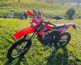 Beta RR 125 T - BETA ENDURO RR 125