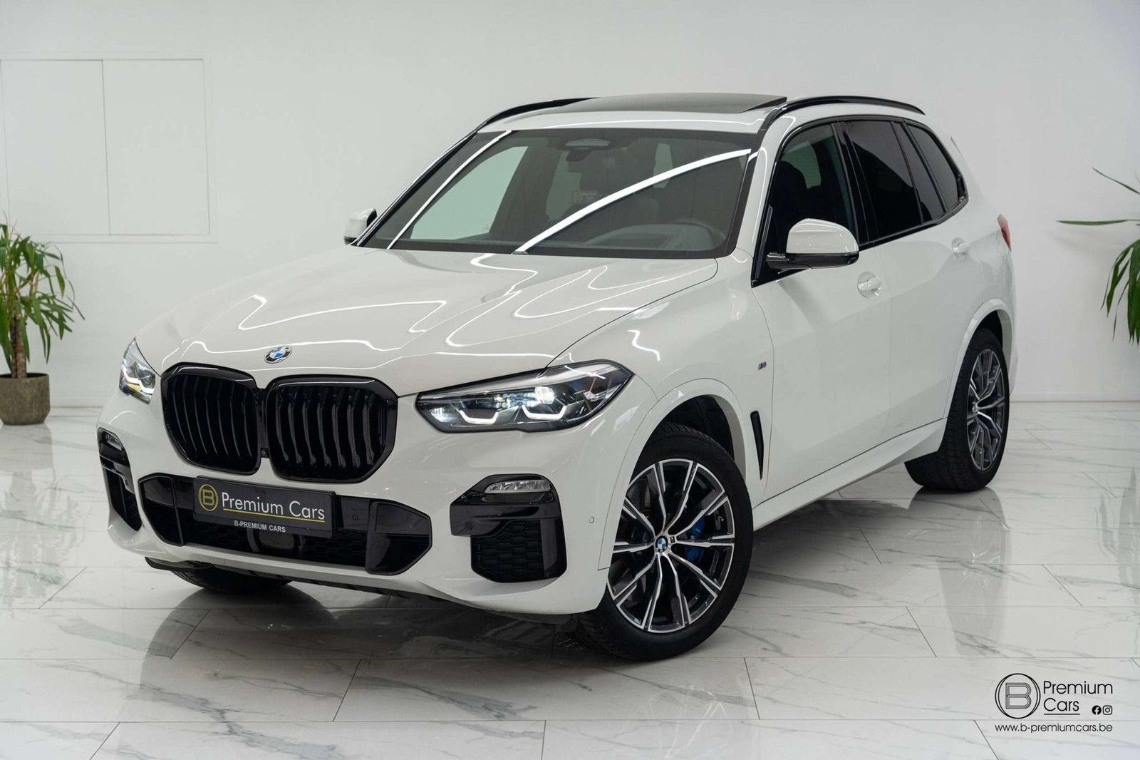 BMW X5 xDrive 30d M-pack! Sky lounge! Ultra full opt imagem 2