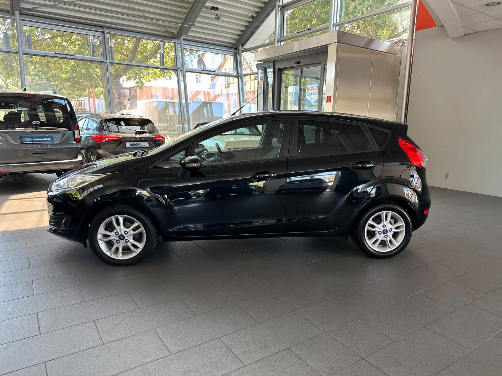 Ford Fiesta Celebration #WINTERPAKET #2.HAND #PP