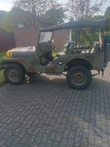 Jeep Willys Jeep CJ 5 Schweizer Armee - Jeep Willys von privat