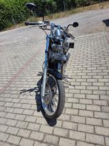 Suzuki VS600GL - Angebote