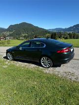 Jaguar XF 5.0 L V8 - NEUWERTIG 1.Hand - Jaguar: Grün