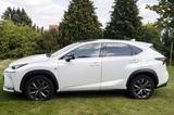 Lexus NX 350h Sport - Lexus aus 2018