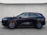 Ford Kuga 1.5 EcoBoost TITANIUM 110 kW, 5-türig - Ford Kuga: Ecoboost