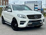 Mercedes-Benz ML350 CDI Edition 1 ~ AMG LINE ~ PANO ~ MEMORY ~ - Mercedes-Benz ML 350 in Bochum