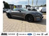 Ford Mustang Convertible 5.0 Ti-VCT V8 Automatik GT - Ford Mustang in Oberhausen