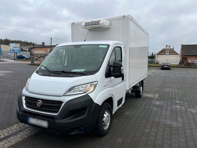 Fiat Ducato KÜHLKOFFER ThermoKing Top ZU STAND