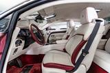 Rolls-Royce Spectre / Shooting Star / DuoTone / Bespoke - Rolls-Royce Spectre