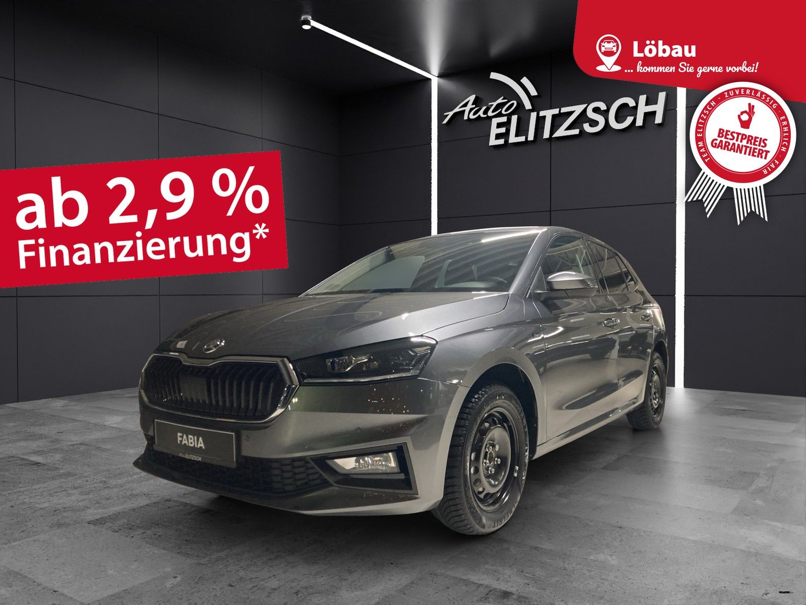 Fahrzeugabbildung SKODA Fabia TOUR LED NSW CLIMA KESSY