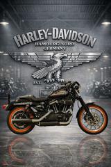 Harley-Davidson XL883R Sportster Roadster 1200er UMBAU - HARLEY-DAVIDSON SPORTSTER XL 883