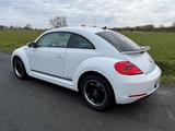 Volkswagen Beetle 1.2 TSI  CUP TÜV NEU ORIG 58900! - Volkswagen Beetle CUP mit Benzin-Antrieb