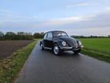 Volkswagen VW Käfer 1200 Mexico  Original & mit H-Zu... - Volkswagen: Mexico
