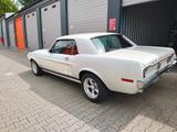 Ford Mustang - gebrauchte Ford Mustang aus dem Jahr 1968