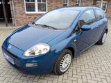 Fiat Punto 1.2 8V/TÜV auf Wunsch neu.  - Fiat Punto: Blau