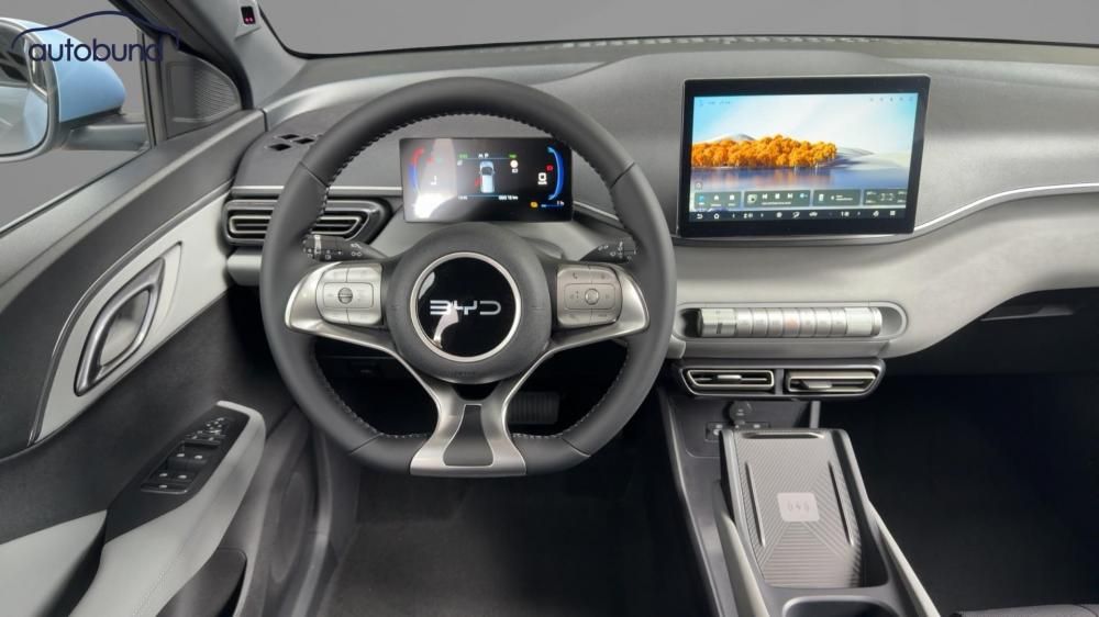 BYD DOLPHIN SURF