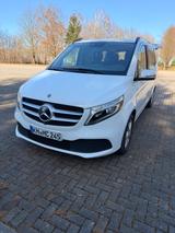 Mercedes-Benz V 250 d Aut. AVANTGARDE Edition 360, Burmester - Mercedes-Benz V 250 in Dresden