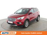 Ford Kuga 1.5 EcoBoost Titanium*NAVI*XENON*SHZ*KLIMA* - Ford Kuga Titanium mit Benzin-Antrieb