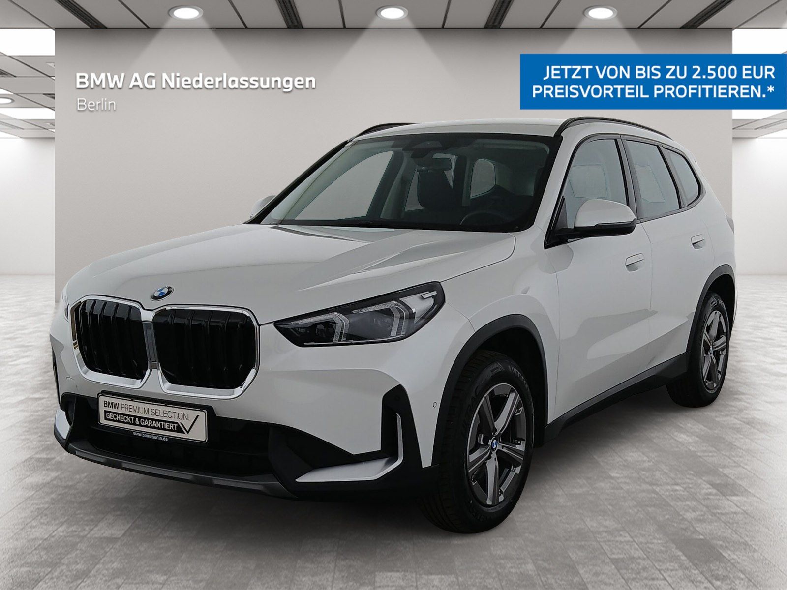 BMW X1 sDrive20i Navi AHK Kamera LED Sitzheizung