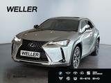 Lexus UX 250h Style Edition *Bi-LED*ACC*CAM*SHZ*WKR*Ca - Lexus Gebrauchtwagen von 2022