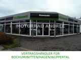 Kawasaki NINJA 650 2025 - KRT-Design GRÜN  SOFORT - KAWASAKI NINJA 650
