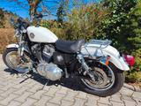 Harley-Davidson Sportster 883 Hugger - HARLEY-DAVIDSON 883 HUGGER